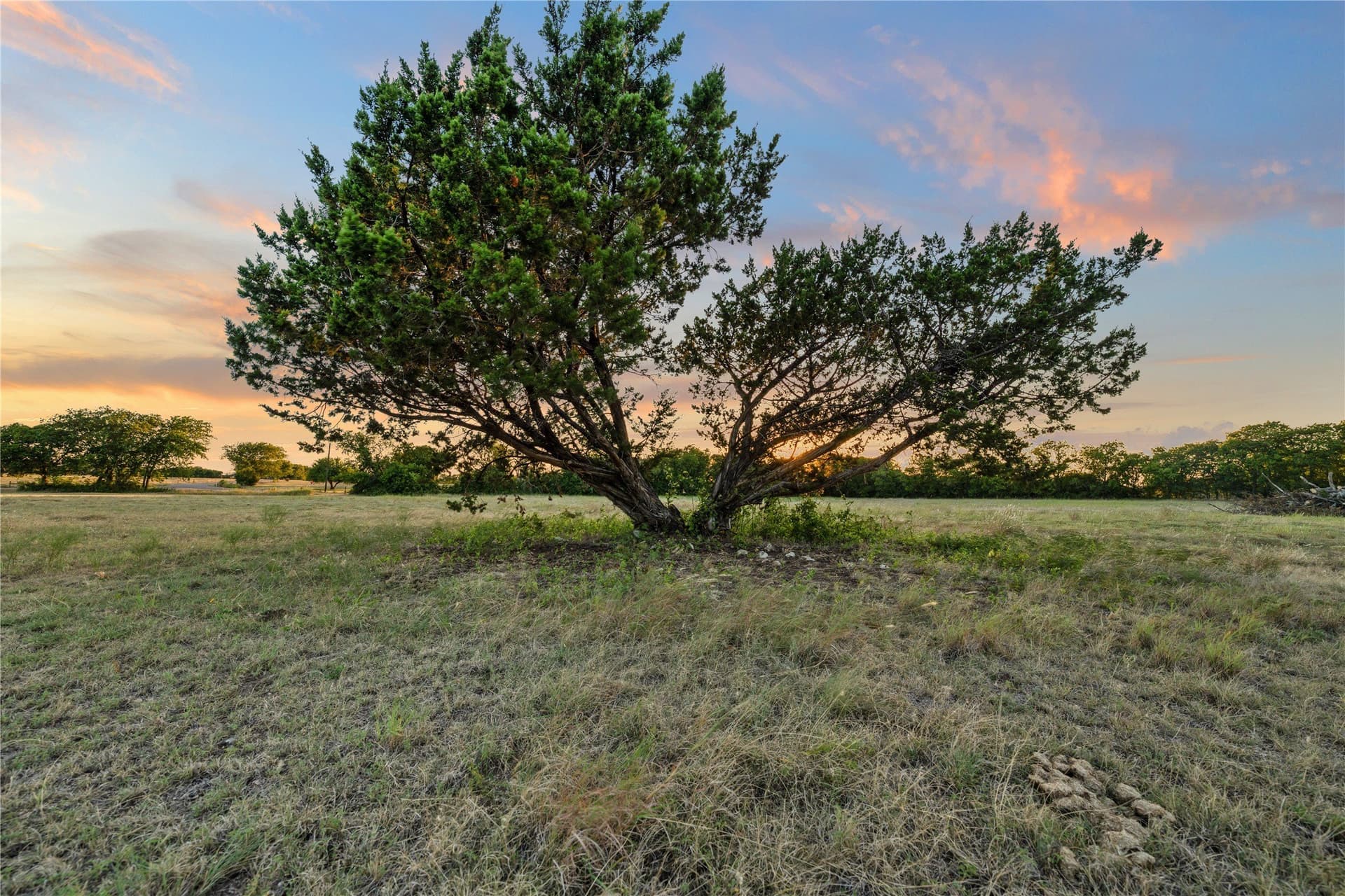 21.2 acres in McLennan County - photo 36