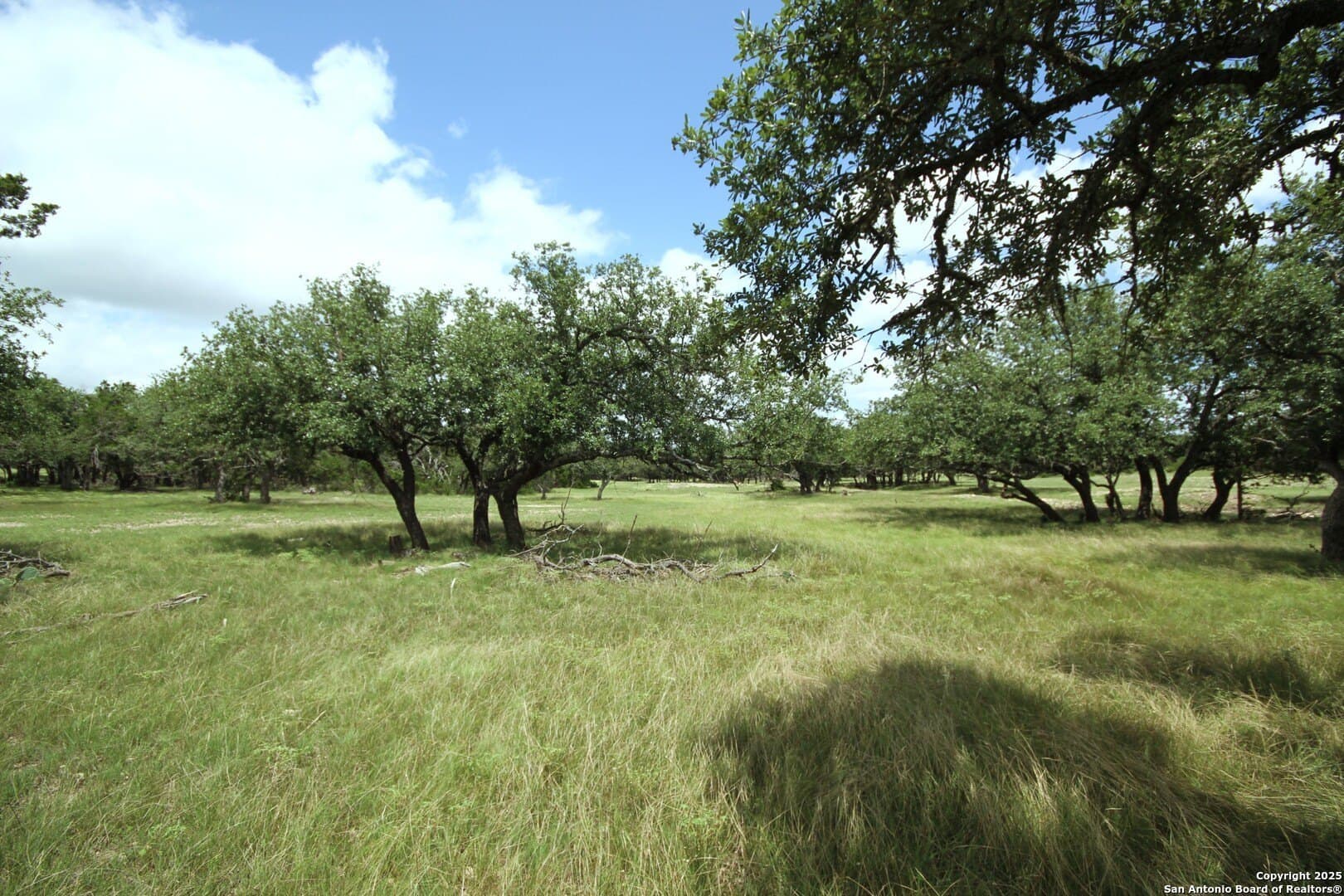 180 acres in Kerr County - photo 6