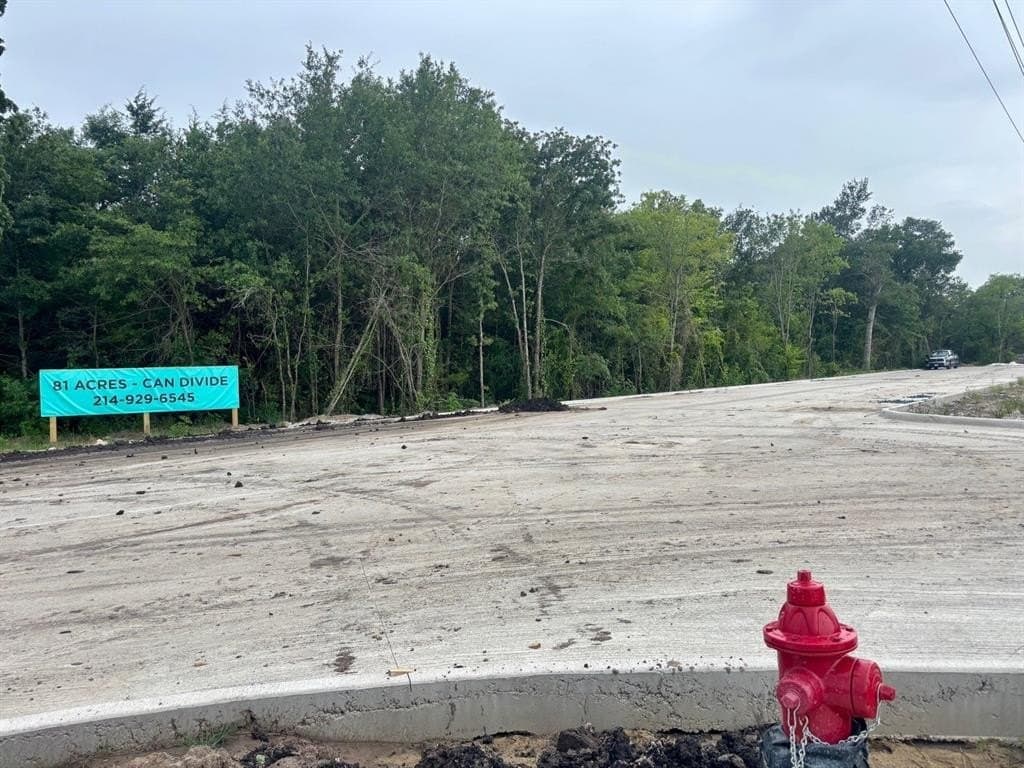 24.25 acres in Hunt County gallery image 2