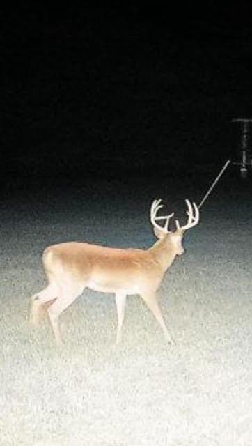 71.61 acres in Denton County - photo 3