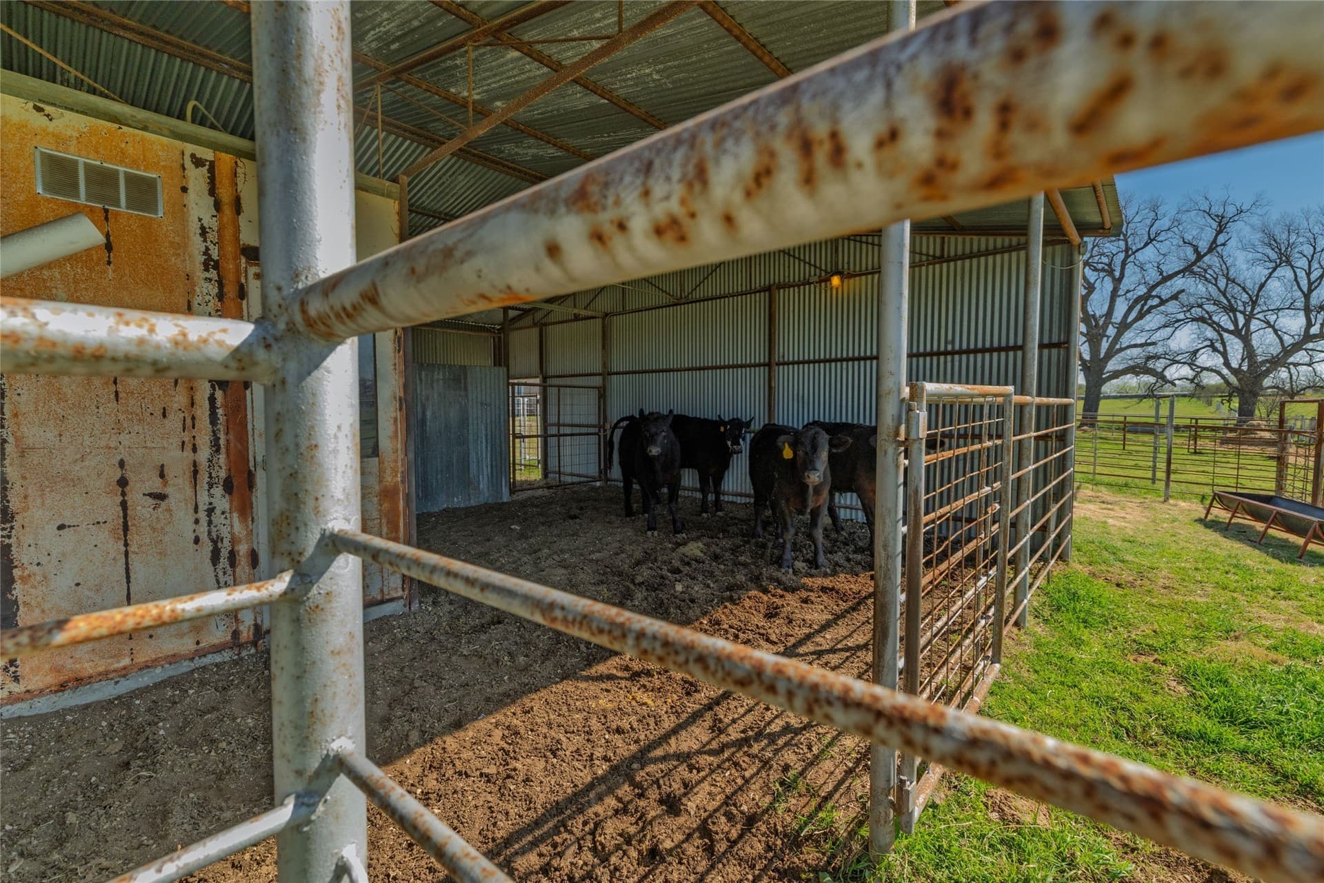 71.61 acres in Denton County - photo 35
