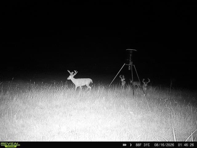 71.61 acres in Denton County