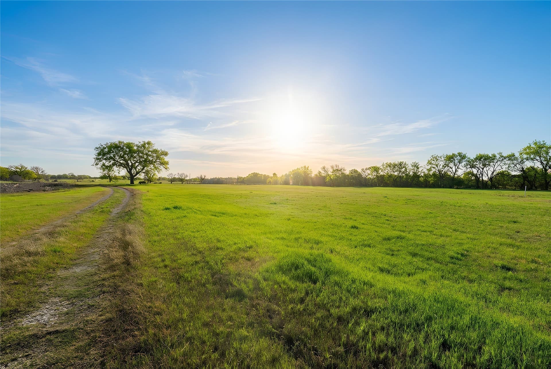 71.61 acres in Denton County - photo 39