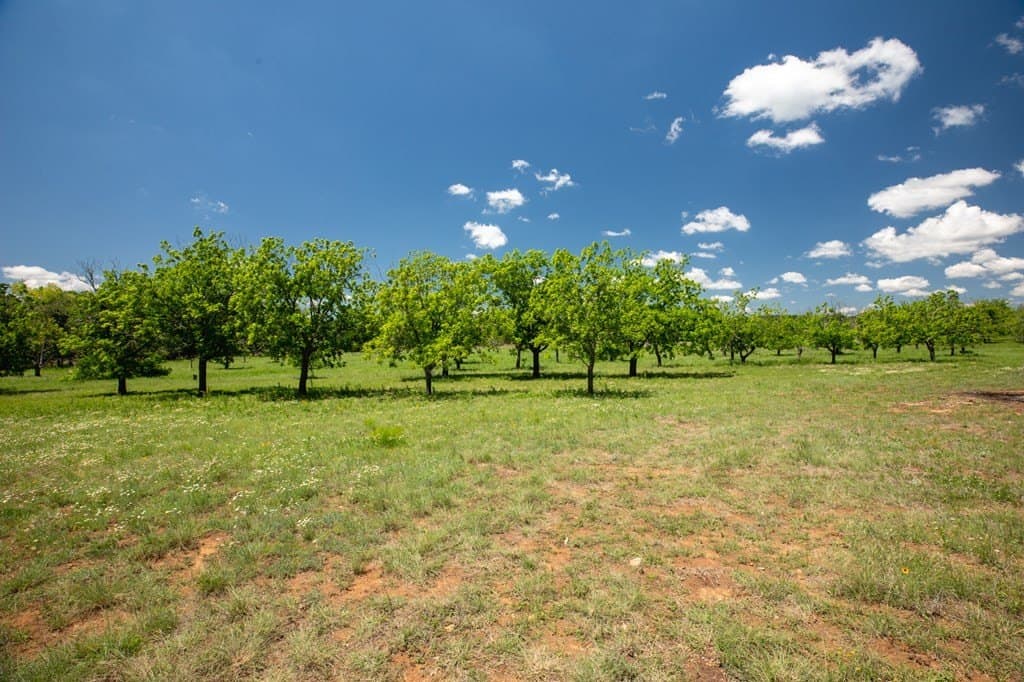 10.19 acres in Gillespie County - photo 10
