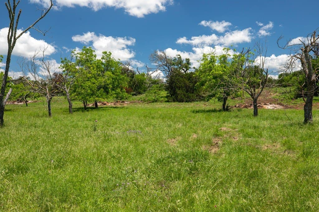 10.19 acres in Gillespie County - photo 6