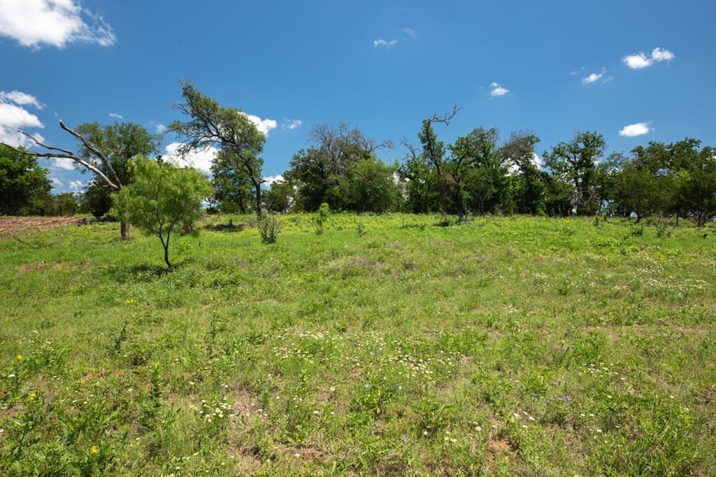 10.19 acres in Gillespie County - photo 7