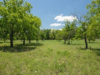 10.19 acres in Gillespie County - photo 14
