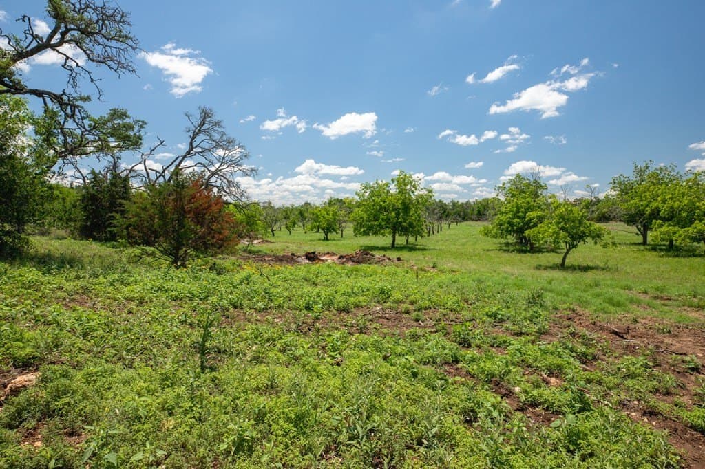 10.19 acres in Gillespie County gallery image 4