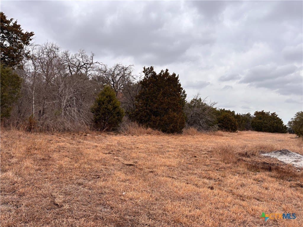 16.64 acres in Williamson County - photo 31