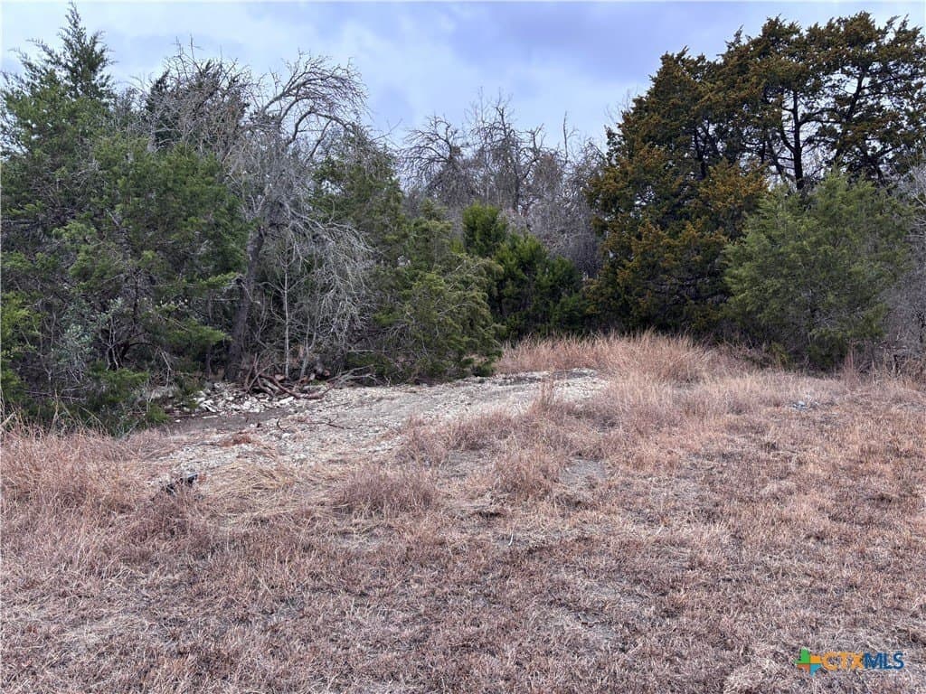 16.64 acres in Williamson County - photo 34