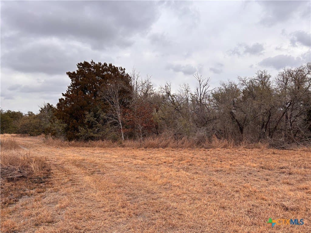 16.64 acres in Williamson County - photo 32