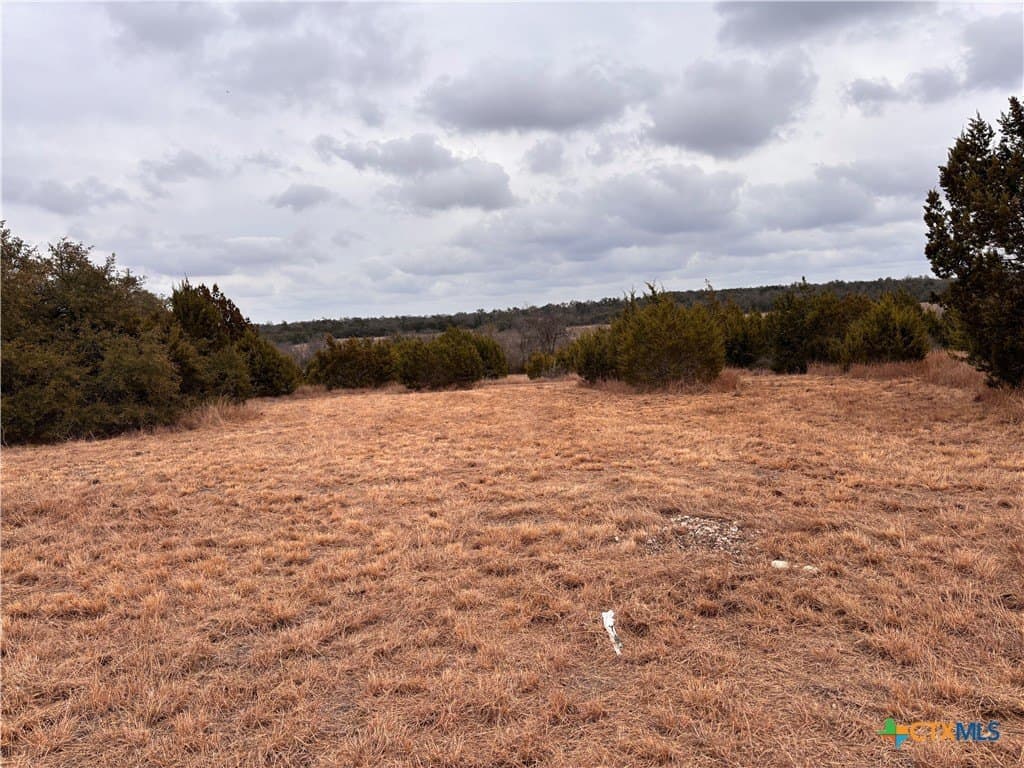 16.64 acres in Williamson County - photo 36