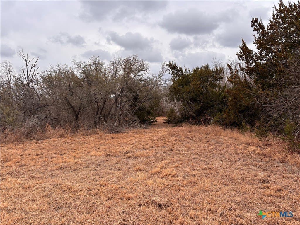 16.64 acres in Williamson County - photo 33