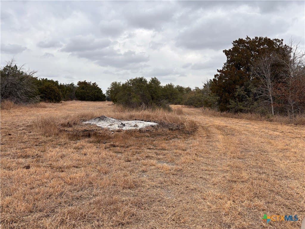 16.64 acres in Williamson County - photo 30