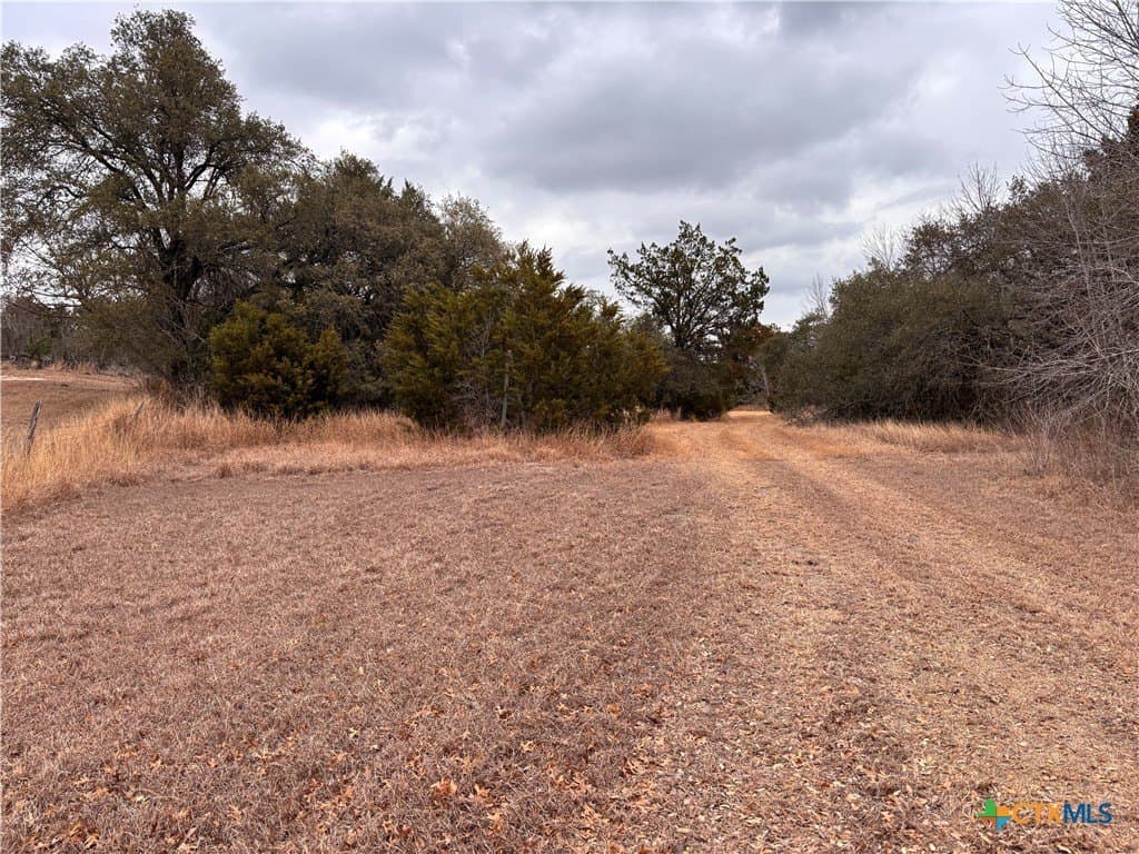 16.64 acres in Williamson County - photo 28