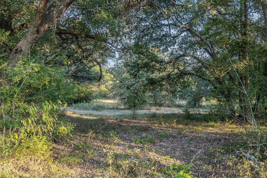 2.6 acres in Fayette County gallery image 2
