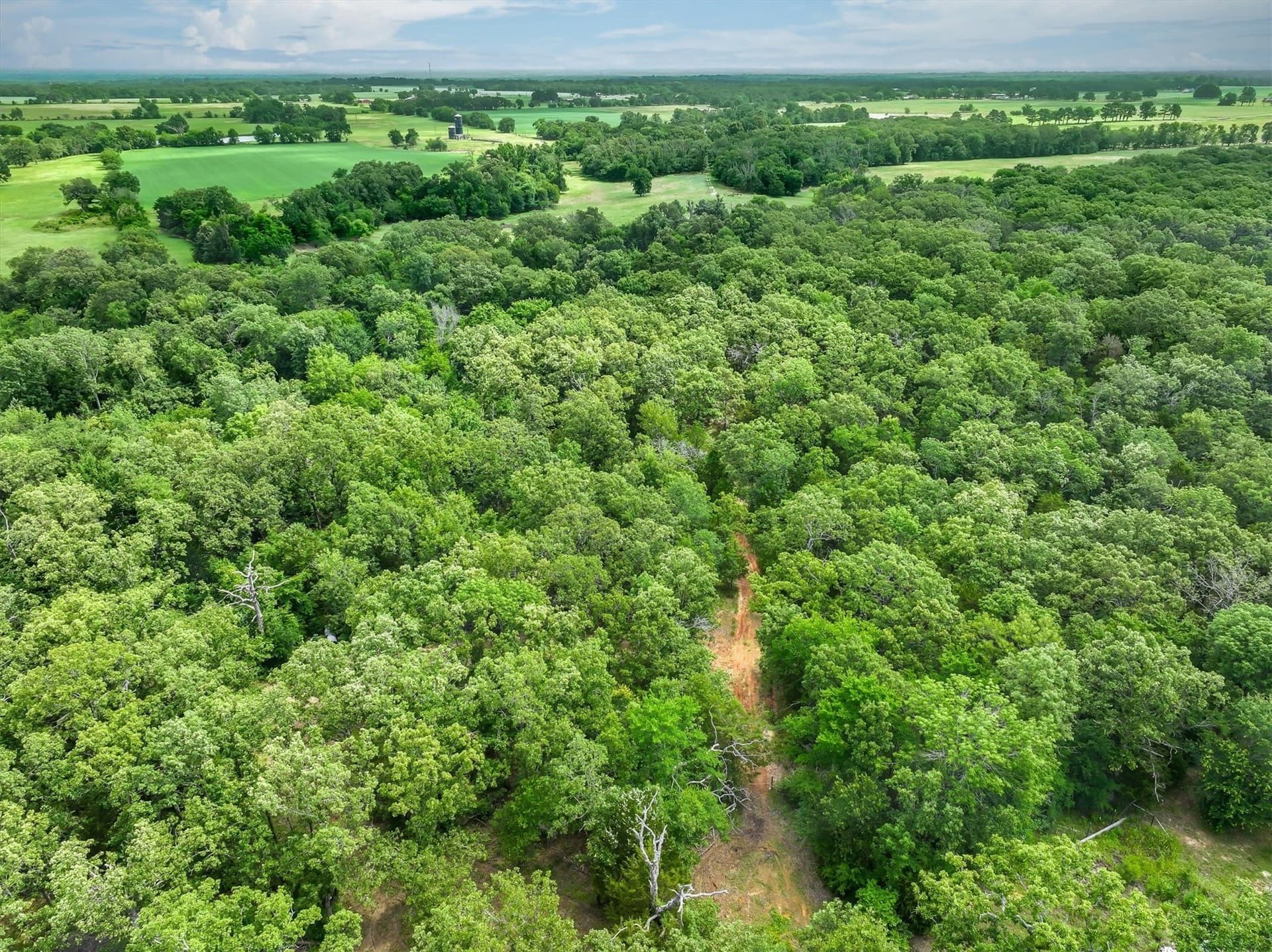 24 acres in Van Zandt County gallery image 4