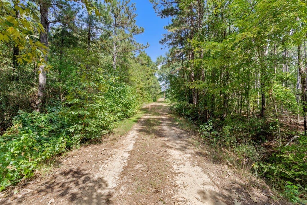 110.9 acres in Smith County - photo 22