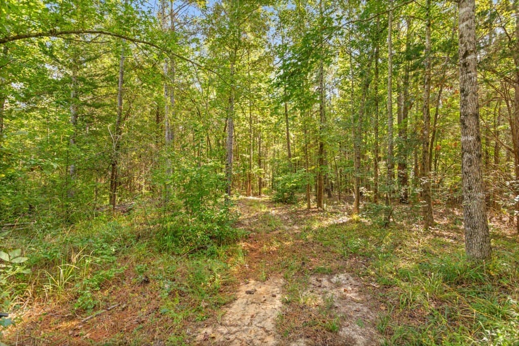 110.9 acres in Smith County - photo 31