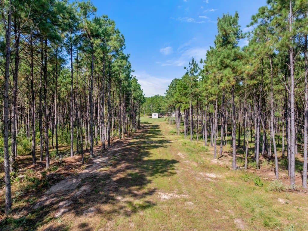 110.9 acres in Smith County - photo 11
