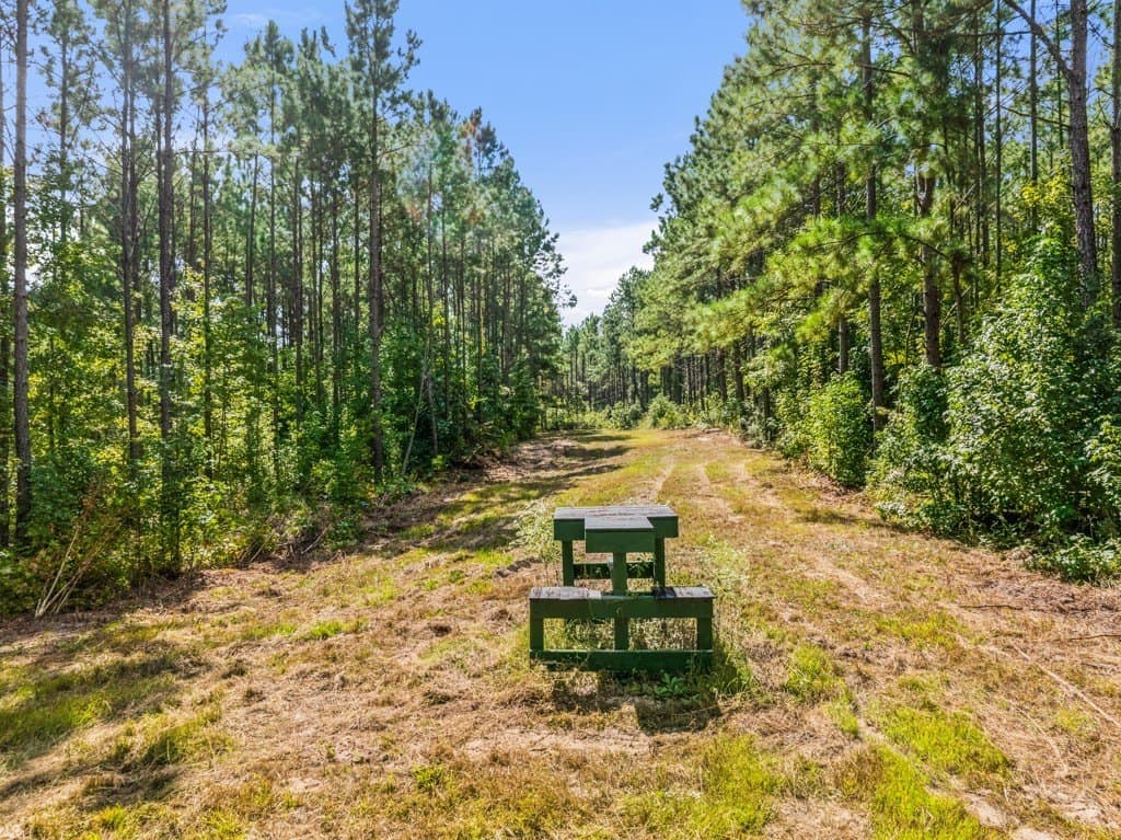 110.9 acres in Smith County - photo 19