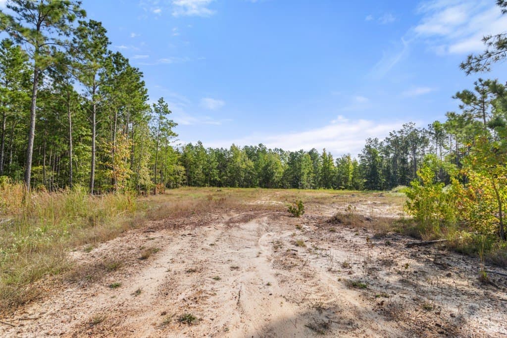 110.9 acres in Smith County - photo 27