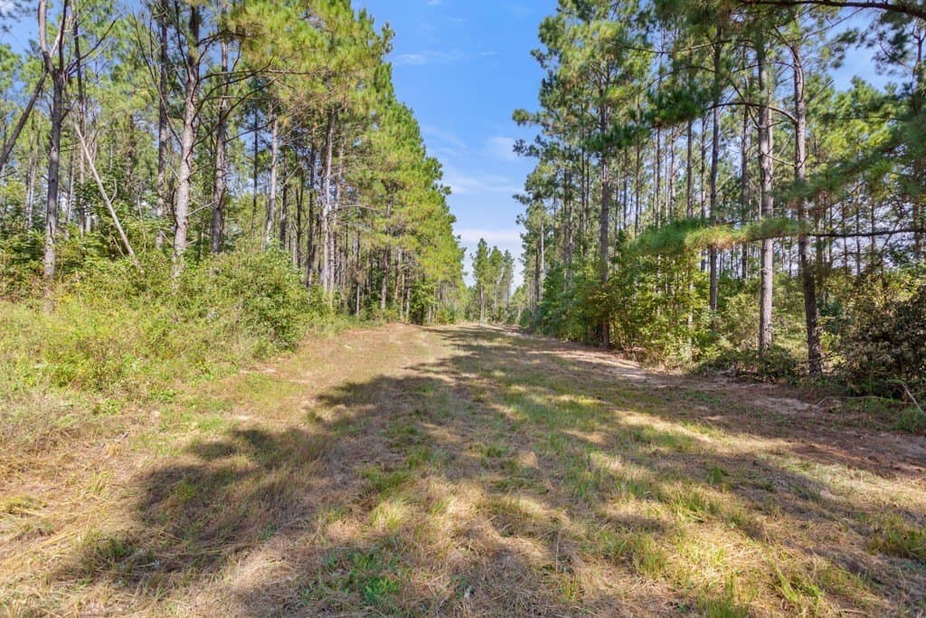 110.9 acres in Smith County - photo 23
