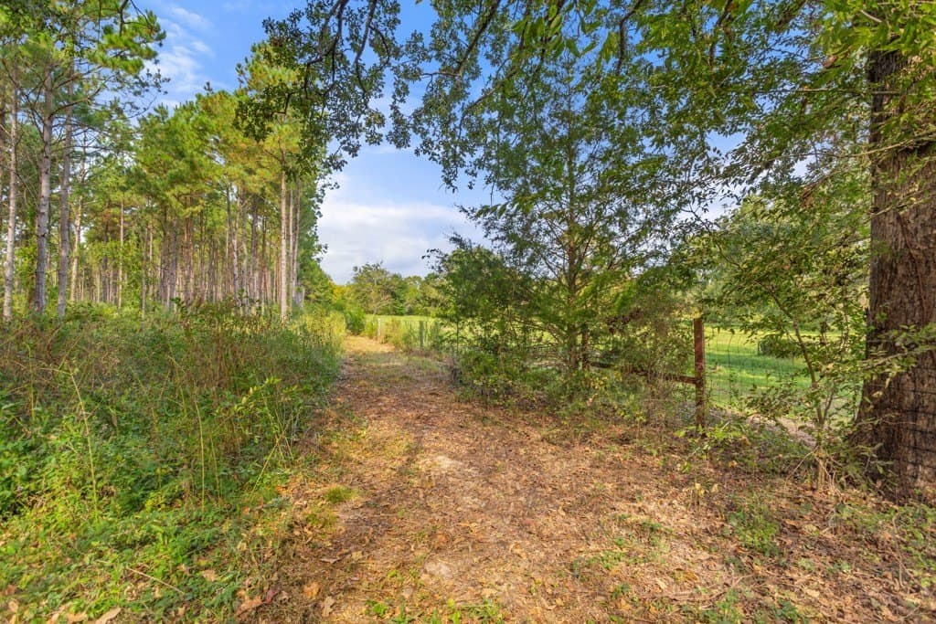 110.9 acres in Smith County - photo 29