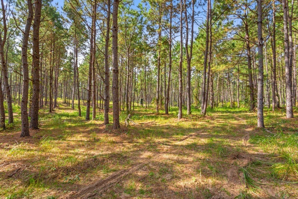 110.9 acres in Smith County - photo 36