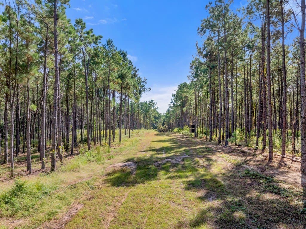 110.9 acres in Smith County - photo 12