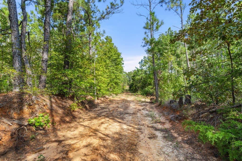 110.9 acres in Smith County - photo 26