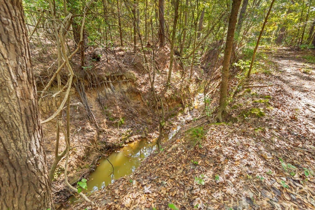 110.9 acres in Smith County - photo 32