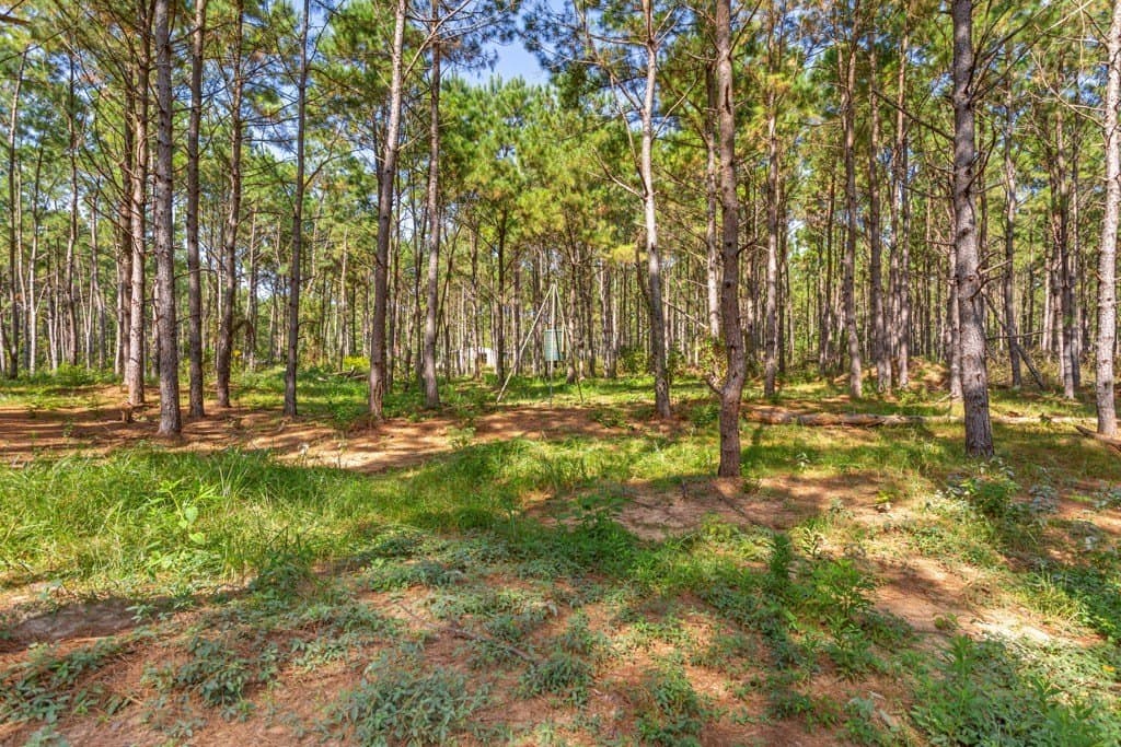 110.9 acres in Smith County - photo 24