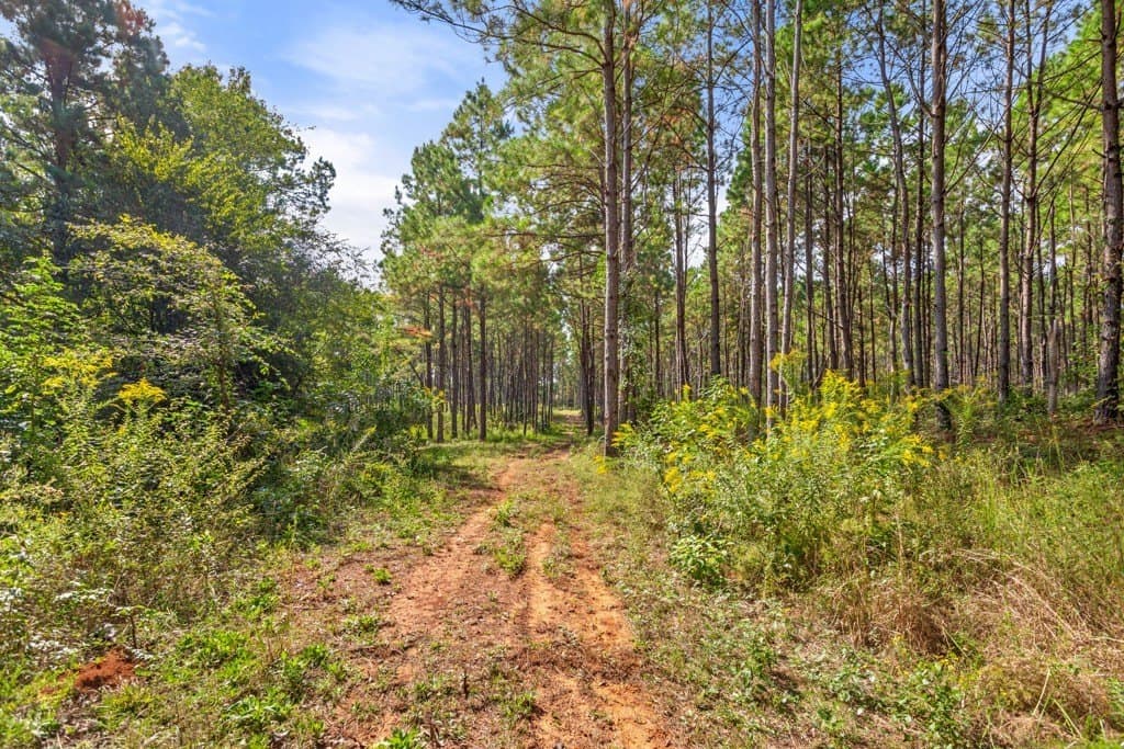110.9 acres in Smith County - photo 35