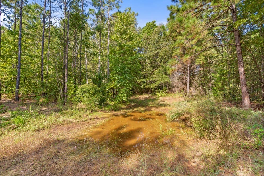 110.9 acres in Smith County - photo 34