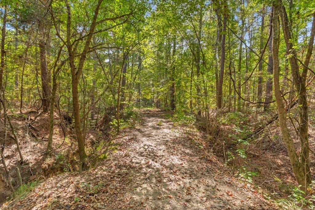 110.9 acres in Smith County - photo 33