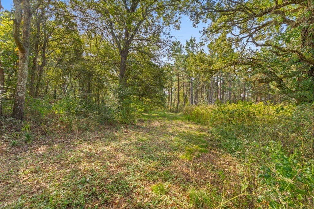 110.9 acres in Smith County - photo 30