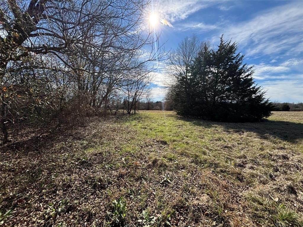 8.2 acres in Henderson County gallery image 3