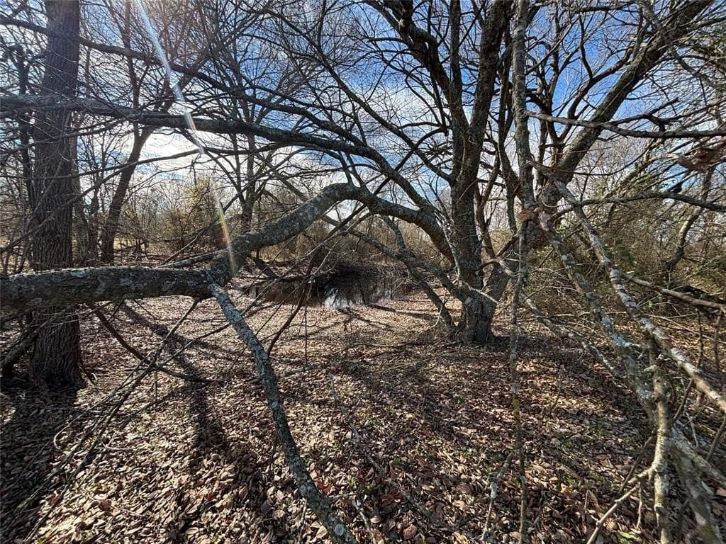 8.2 acres in Henderson County gallery image 2