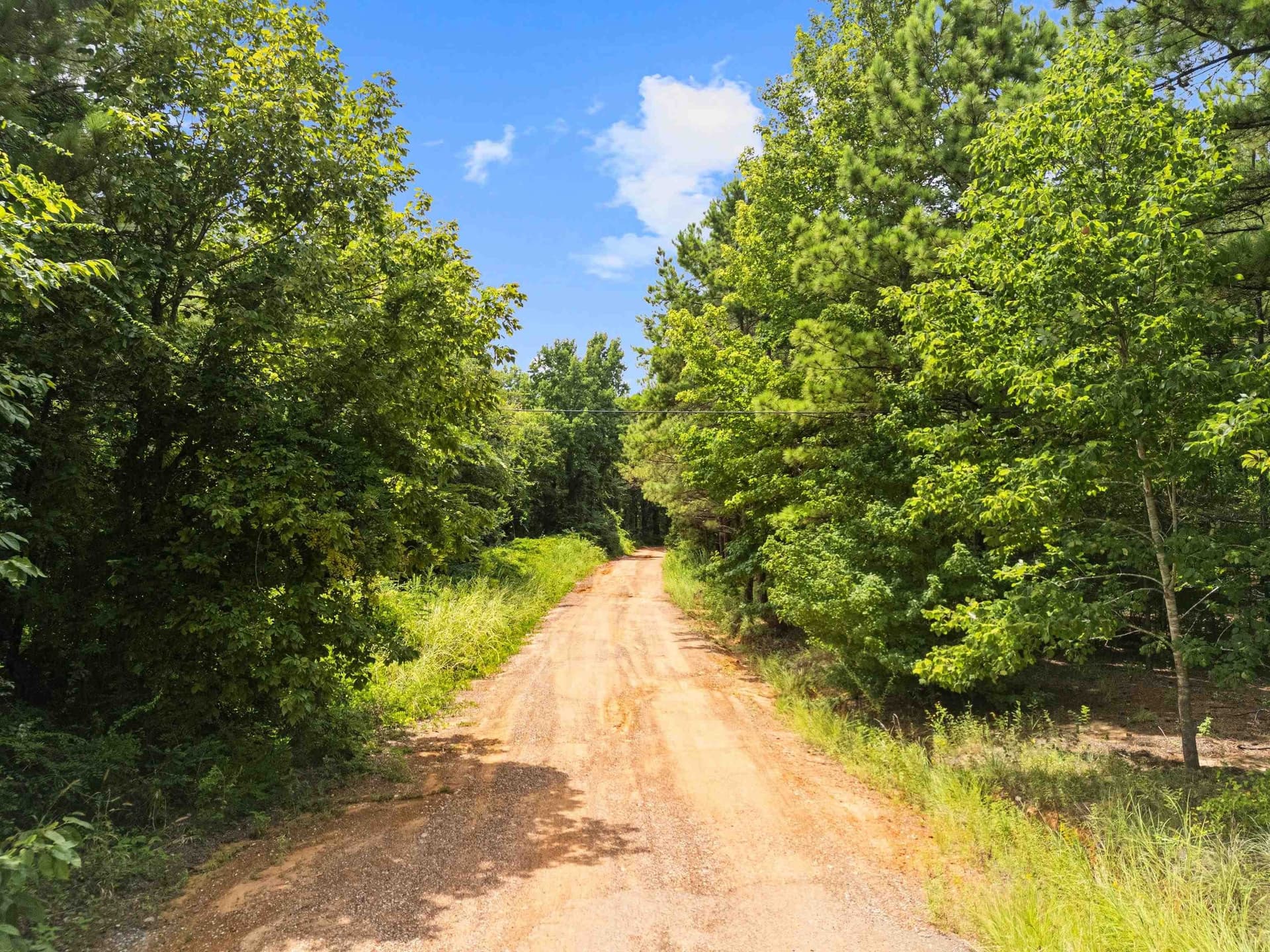 23.85 acres in Gregg County - photo 11