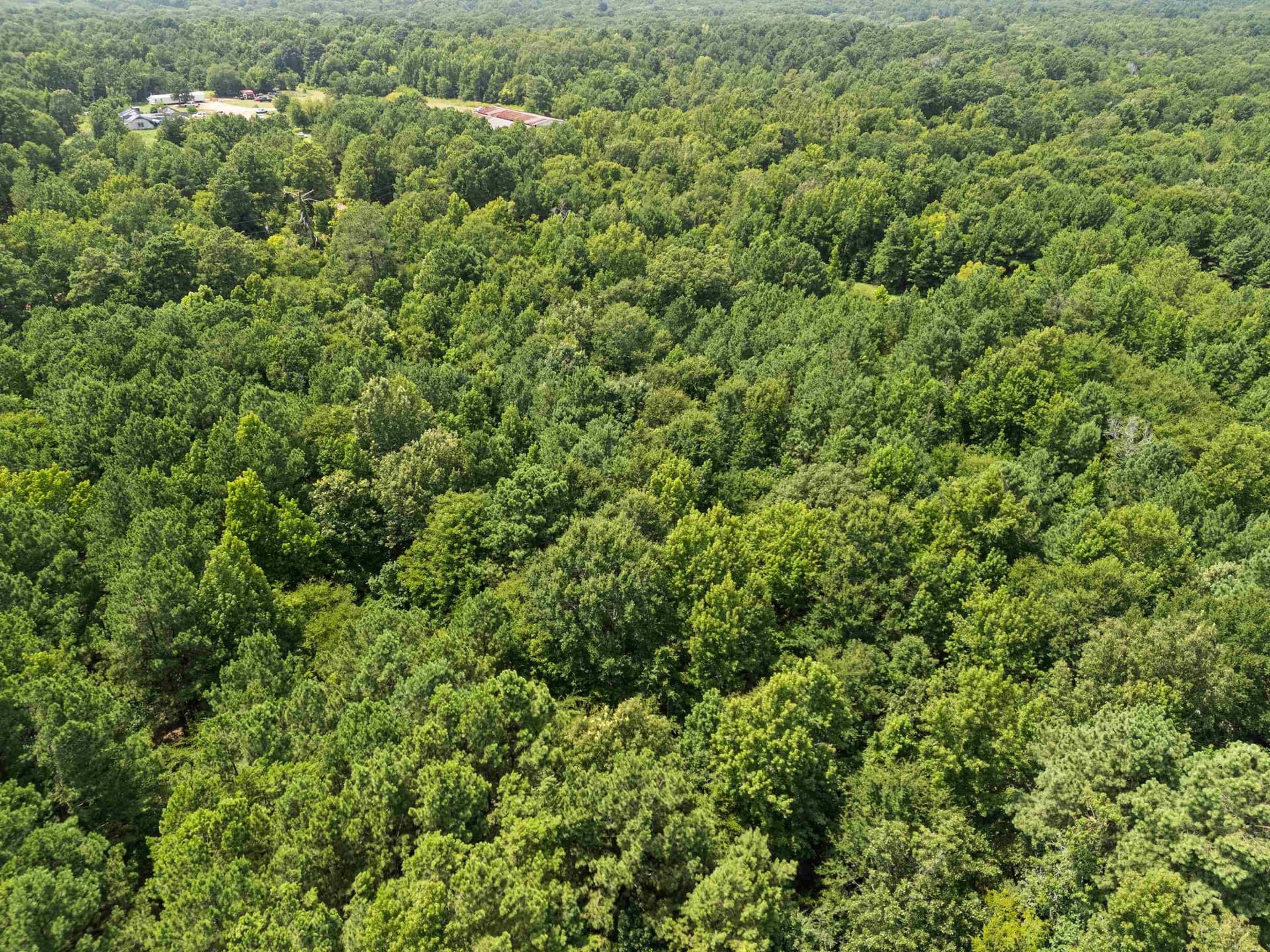 23.85 acres in Gregg County - photo 8