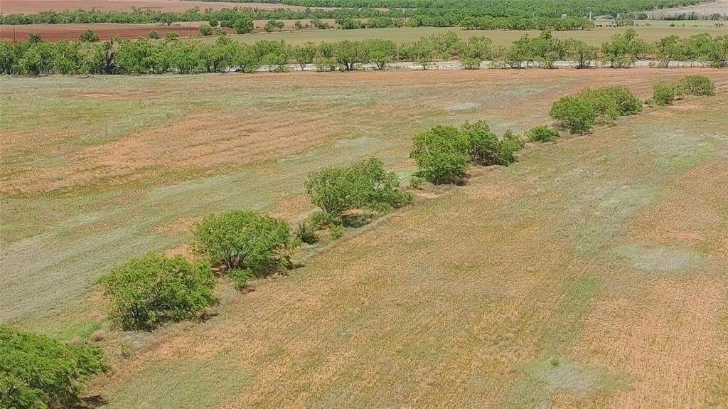 159 acres in Fisher County gallery image 4