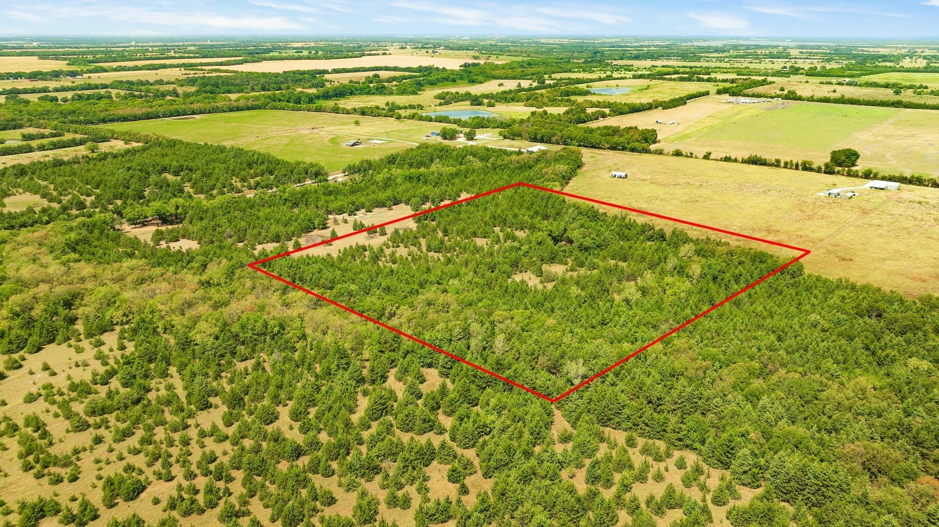 10 acres in Lamar County - photo 11