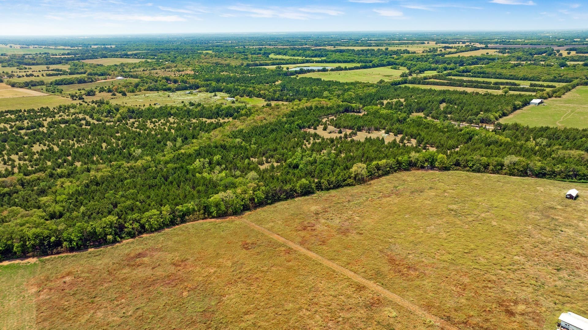 10 acres in Lamar County - photo 6