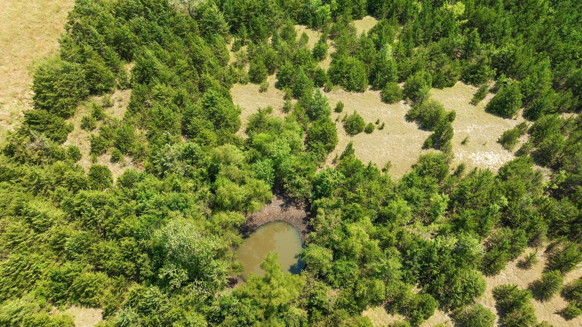 10 acres in Lamar County - photo 18