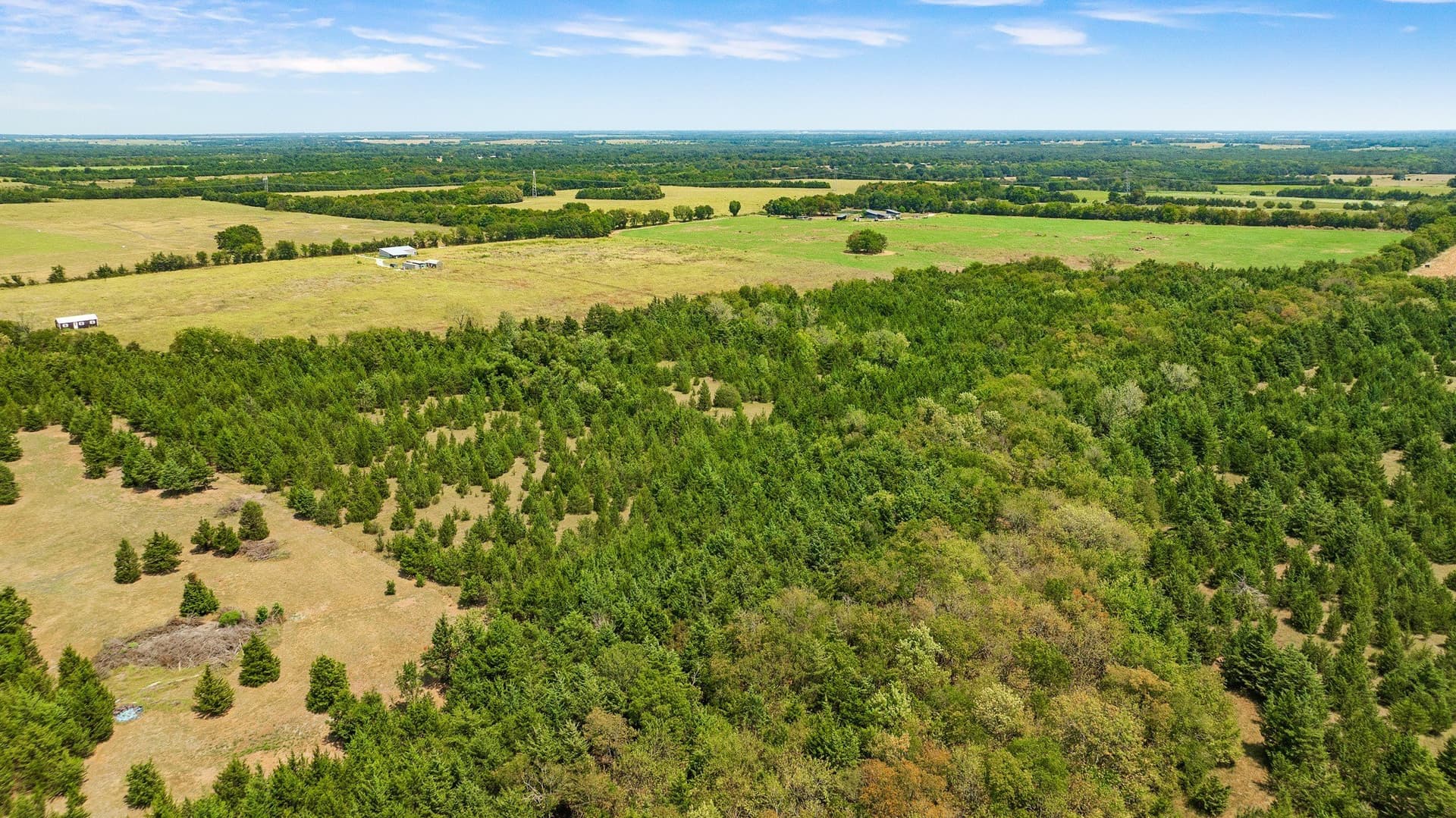 10 acres in Lamar County - photo 20
