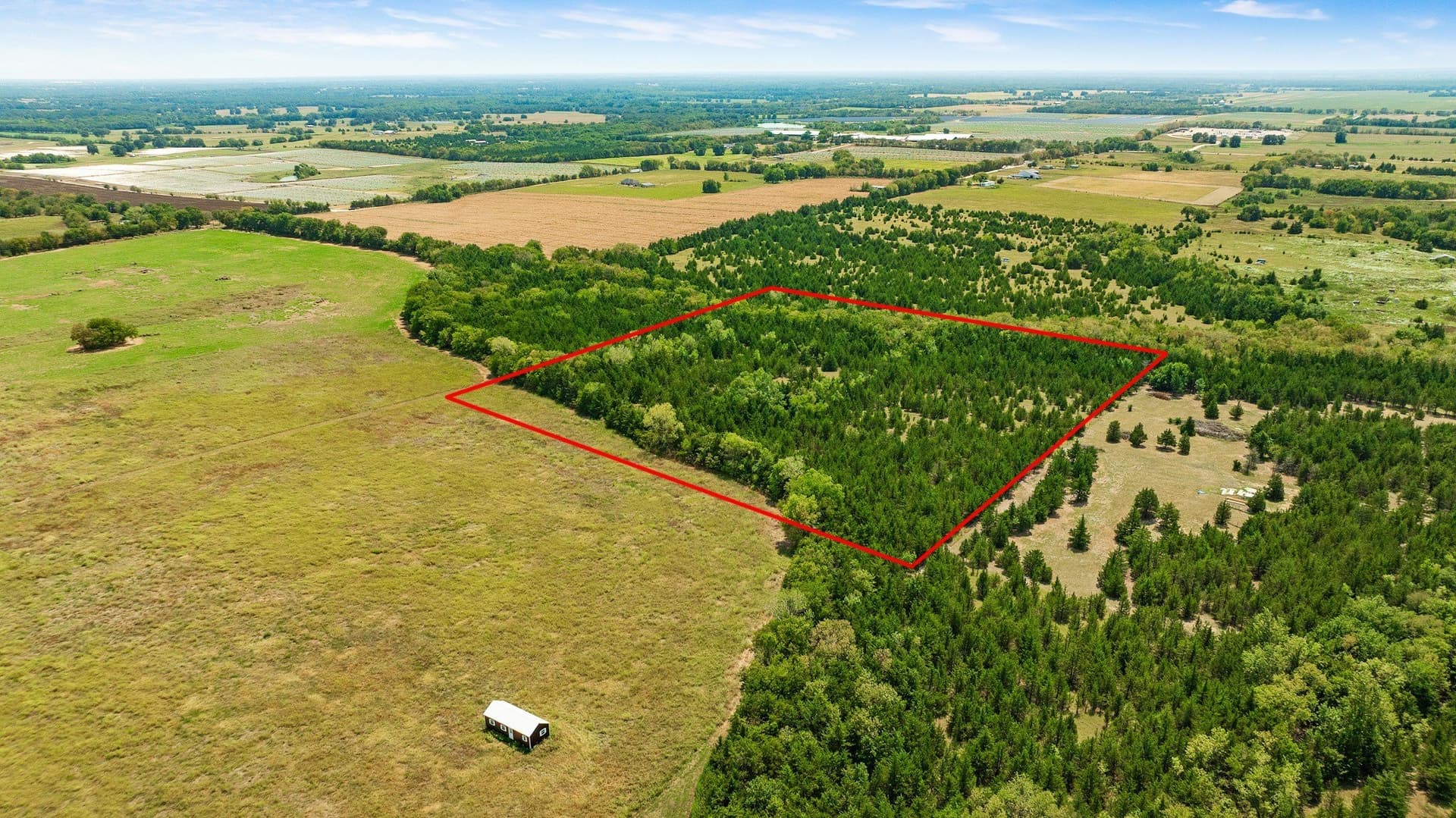 10 acres in Lamar County - photo 3