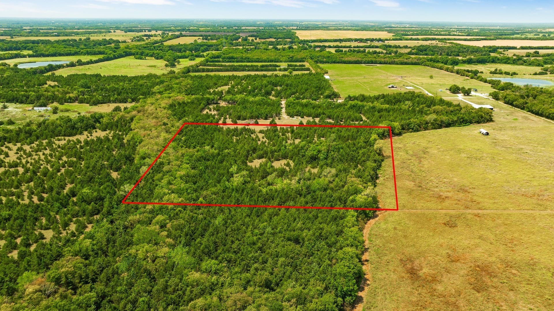 10 acres in Lamar County - photo 9