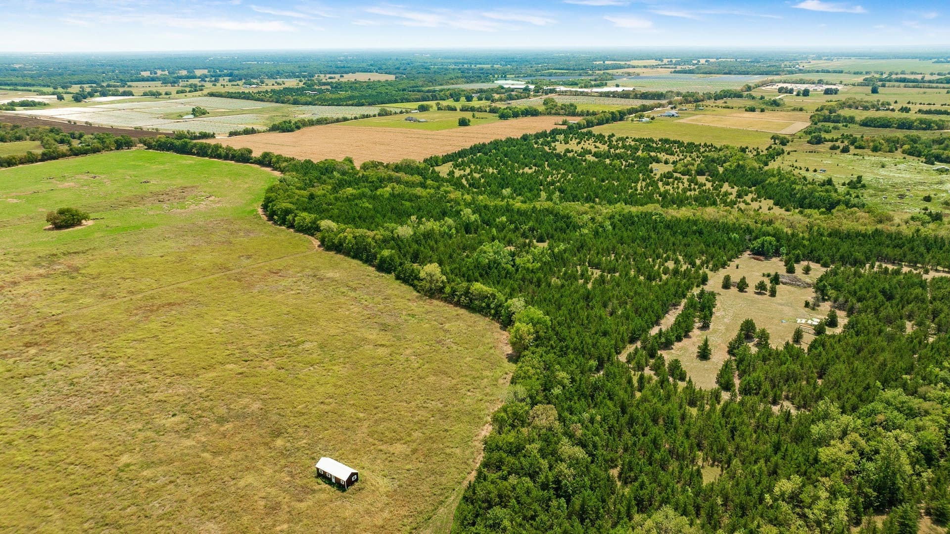 10 acres in Lamar County - photo 2