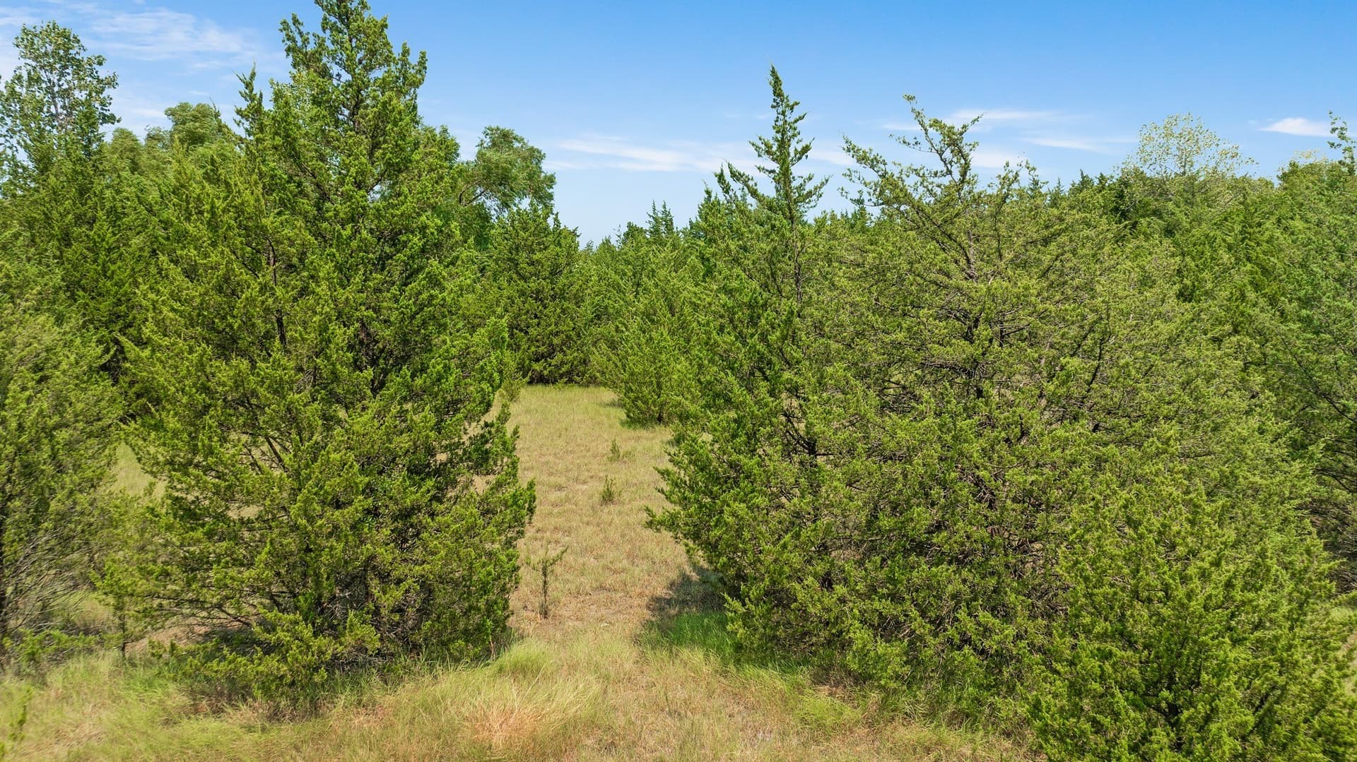 10 acres in Lamar County - photo 14